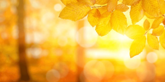 1915x972 100+] Warm Backgrounds | Wallpapers.com