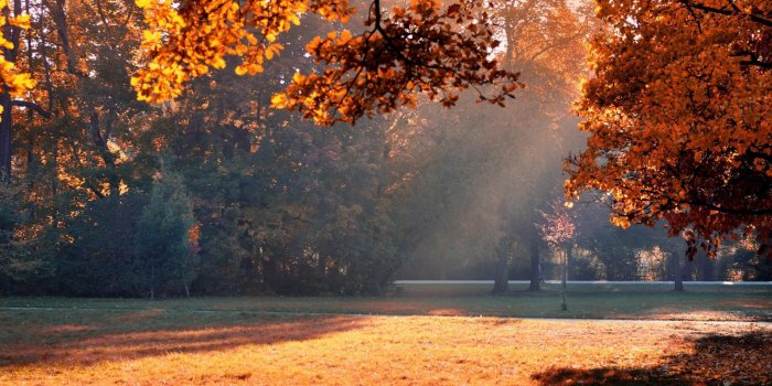 1920x1080 Warm Wallpapers