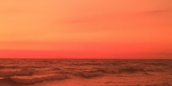 719x1280 backgrounds