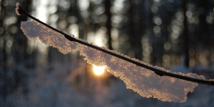 2560x1600 Ultra HD Desktop Background Wallpaper