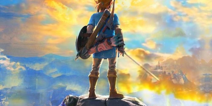 736x1324 Zelda Breath of the Wild Live Wallpaper