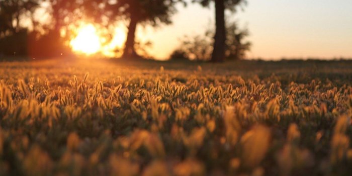 1600x1000 Warm Wallpapers - Top Free Warm