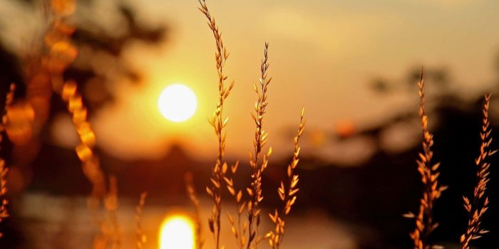 1920x1080 100+] Warm Backgrounds | Wallpapers.com