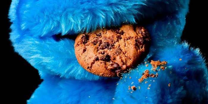 800x1200 Sesame Street Cookie Monster Wallpapers