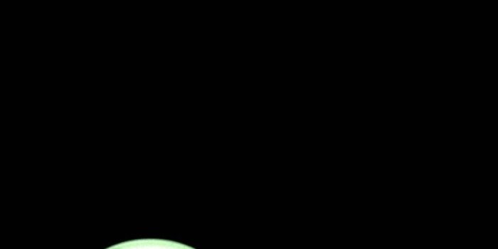 1080x1920 100+] Cookie Monster Wallpapers