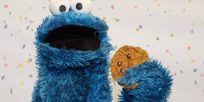 1920x1080 Download Realistic Muppet Cookie