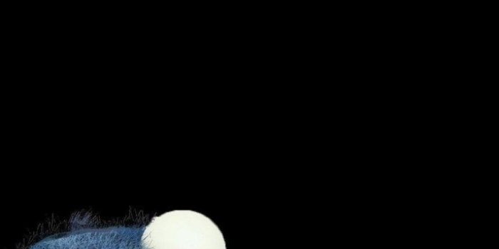 715x1271 Cookie Monster Wallpaper 17 | Cookie