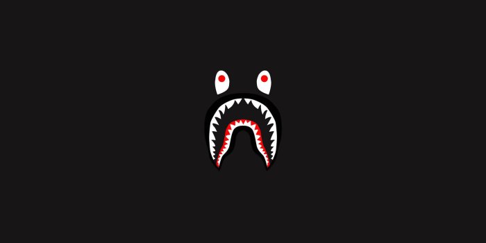 1920x1080 100+] Bape Wallpapers | Wallpapers.com