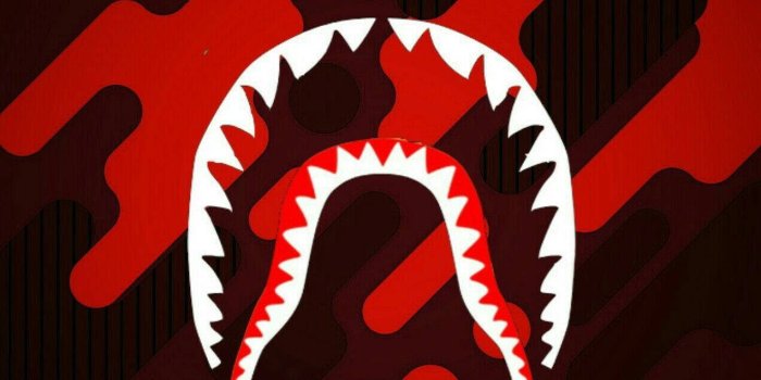 1272x1773 BAPE Shark Supreme Logo Wallpaper