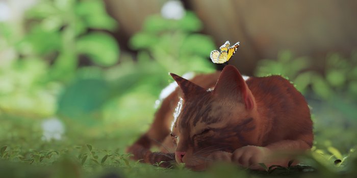 1920x1080 Stray Wallpapers - PlayStation Universe