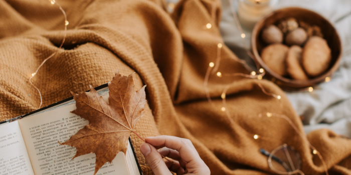 1536x2048 Free Fall Aesthetic iPhone Wallpapers