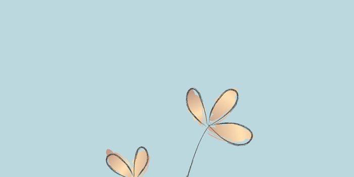 800x1422 Inspirational Quote iPhone Wallpapers