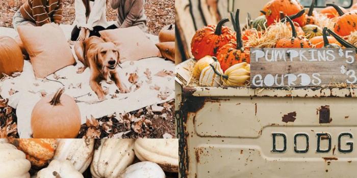 750x1275 20 Autumn Collage Wallpapers : Autumn Brown 1 - Fab Mood | Colour + Mood +  Style Inspiration