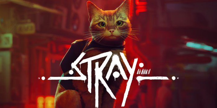 3840x2160 Video Game Stray 4k Ultra HD Wallpaper