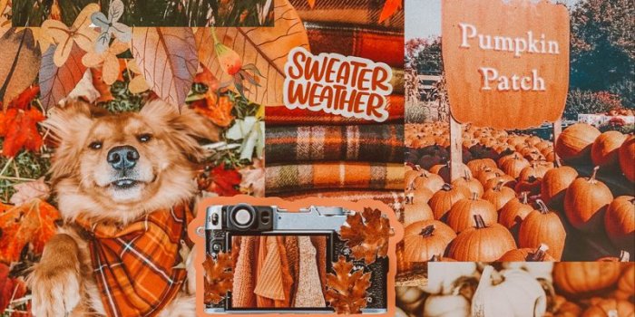 800x1200 Fall aesthetic Collage | Iphone