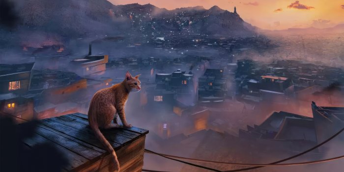 3840x2160 Stray Cat Wallpaper,HD Artist