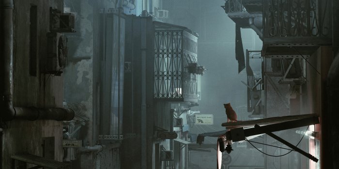 5120x2880 Stray 5k Wallpaper,HD Games Wallpapers