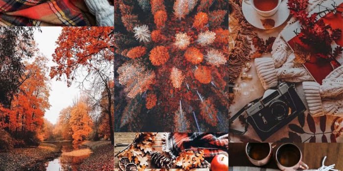 900x1668 Cute Autumn Cozy Aesthetic Wallpaper