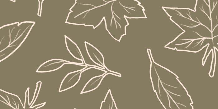 1183x2560 Fall Leaves Green Wallpaper - Aesthetic