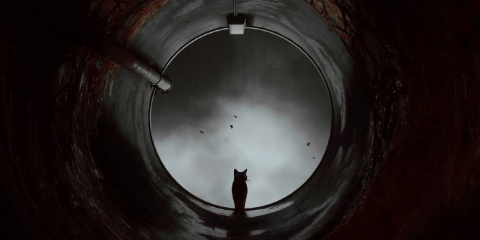 5120x2560 Stray Game Wallpaper,HD Games