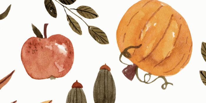 1080x1920 45+ Free Fall Wallpapers For Your Phone