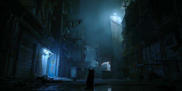 3440x1440 Stray - Dead City by ThiccOniichan