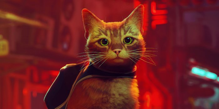 1920x1080 Stray Wallpapers - PlayStation Universe