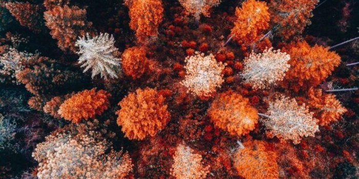 1242x1535 Cozy Autumn Aesthetic Wallpapers