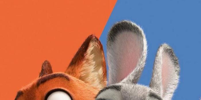 720x1280 zootopia wallpaper by Kacatka555 - 2b