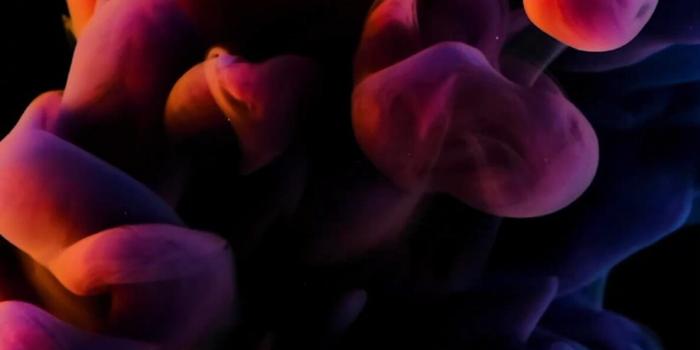 1185x2560 LIVE Wallpaper - Wallpapers Central