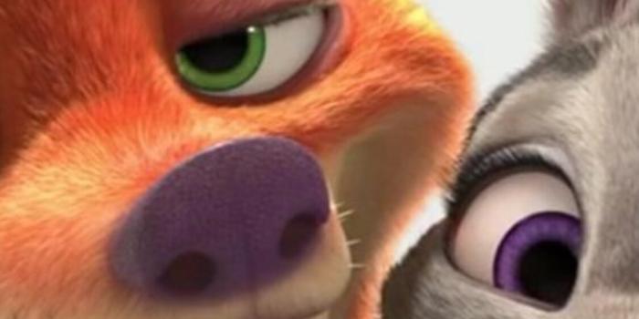 1125x2436 1125x2436 Zootopia Love Iphone XS