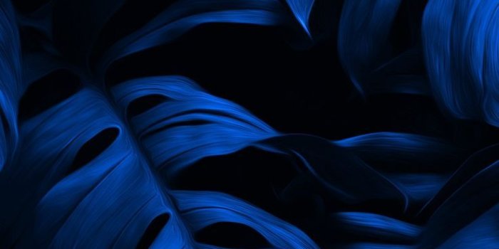 736x1308 Wallpaper | Dark blue wallpaper, Blue