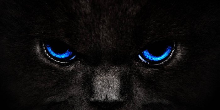 1920x1080 300+] Black And Blue Wallpapers