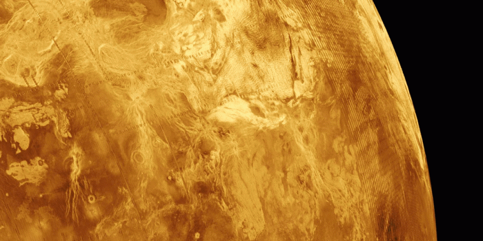 1125x2436 Venus Wallpapers