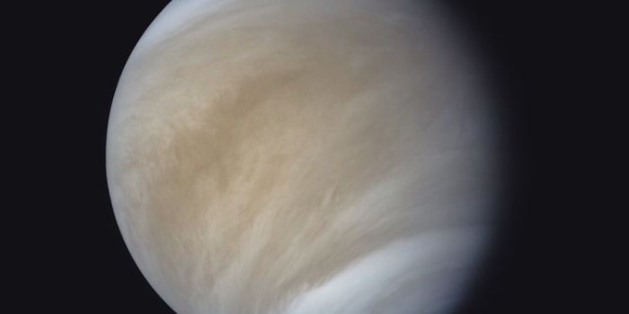 750x1334 Venus Portrait Wallpaper | Space and