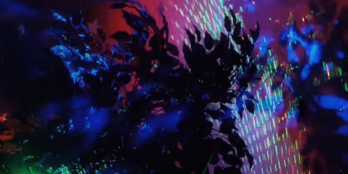 1080x2519 wallpapers from the Sextape videoclip