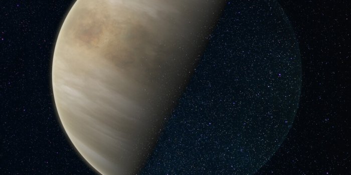 929x1300 Planet Venus Wall Mural | Buy online at