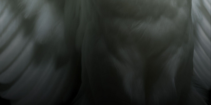 936x1976 I needed a new wallpaper for my phone