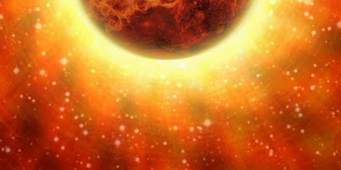 1242x2208 Venus planet 1 Wallpaper for iPhone 11