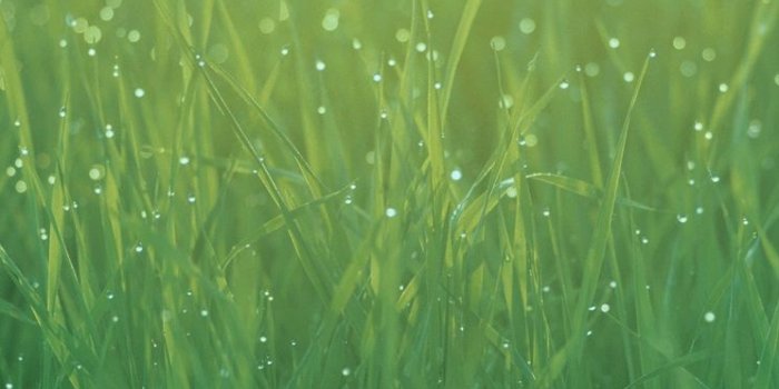 744x1392 Wallpapers In The iOS 7