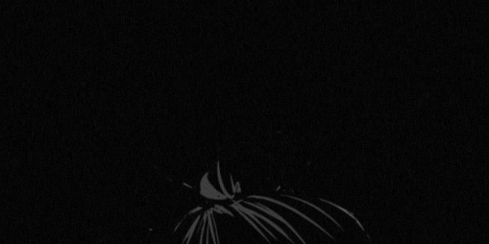 720x1559 Pin on Jujutsu Kaisen
