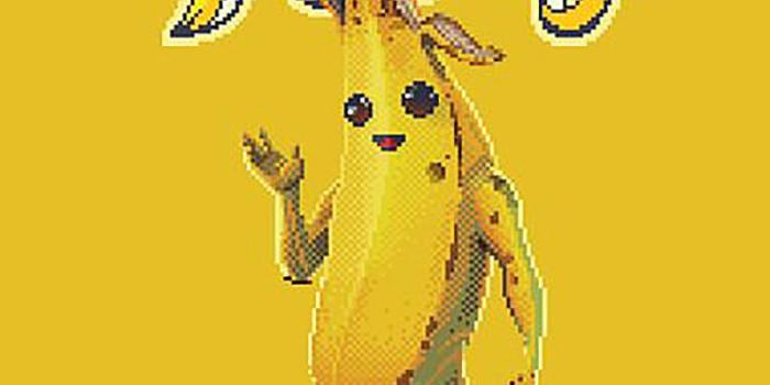 800x1200 Fortnite Poster Pixel Peely – Wallister