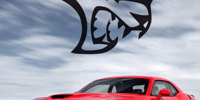 1536x1920 100+] Hellcat Wallpapers | Wallpapers.com