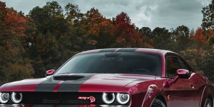 736x1308 Dodge challenger hellcat, Dodge