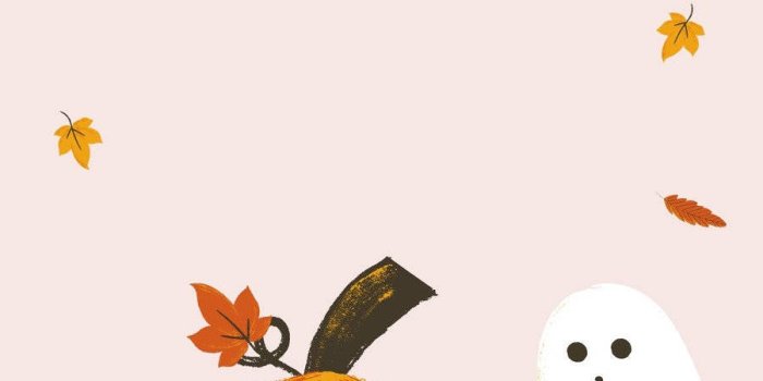 900x1600 100+] Cute Halloween Phone Wallpapers