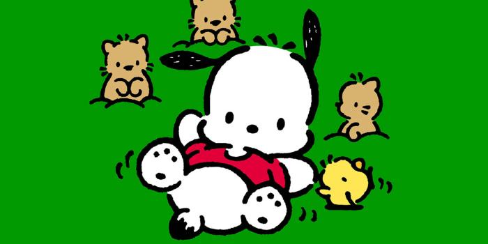 1920x1080 100+] Pochacco Wallpapers | Wallpapers.com