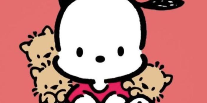1065x2560 Pochacco iPhone Wallpapers [ 4k & HD