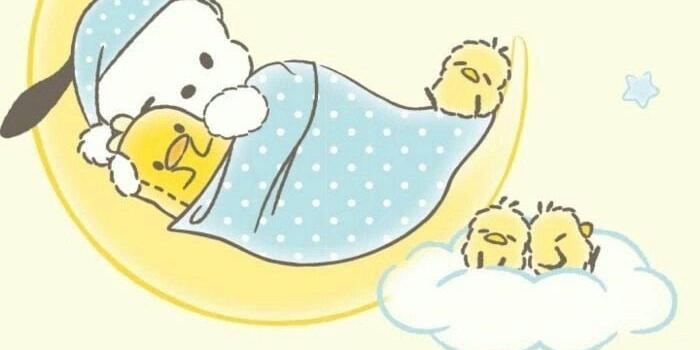 700x1174 Pochacco ❤️ : r/iWallpaper