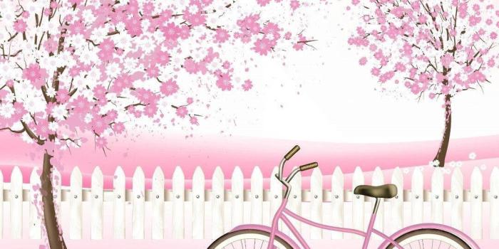 1080x1920 100+] Girl Phone Wallpapers