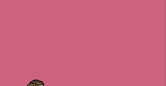 675x1200 ✨Mean girls wallpaper✨ | Musical